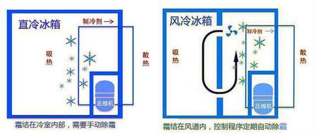 怎么挑选冰箱避坑 45494606994146a58cef76bbd7f4554c.jpeg