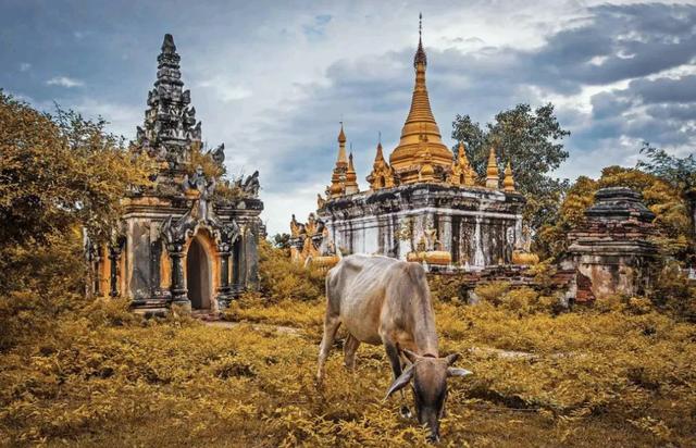 现在可以去缅甸么 ae3721f015bc4375acd7b39a5976ebfe.jpeg