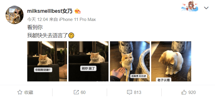 夫人■暗搓搓的小心思太明显杠上了?张大奕疑似再次模仿总裁夫人穿搭
