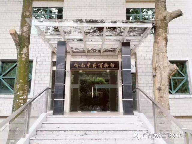 专业|超厉害！这些专业被官方表扬！有你的专业？