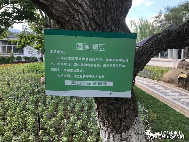 原创北京房山公园食客偷吃桑椹怕中毒, 报警后还得给她道歉!