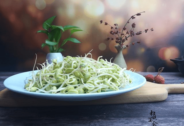 黄豆芽怎么发芽 3f336d8994b848cd9be3d764180a4e23.png