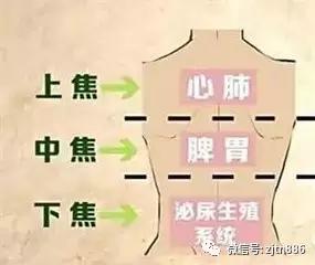 三焦不通老病缠身 中老年人有多种疾病的主要原因是"病机丛杂,虚实互