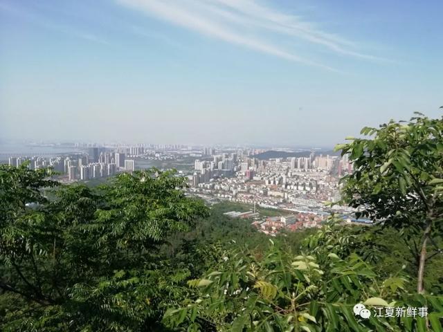 原创江夏八分山实拍组图!登高望远风景独好!赏夕阳好地方!