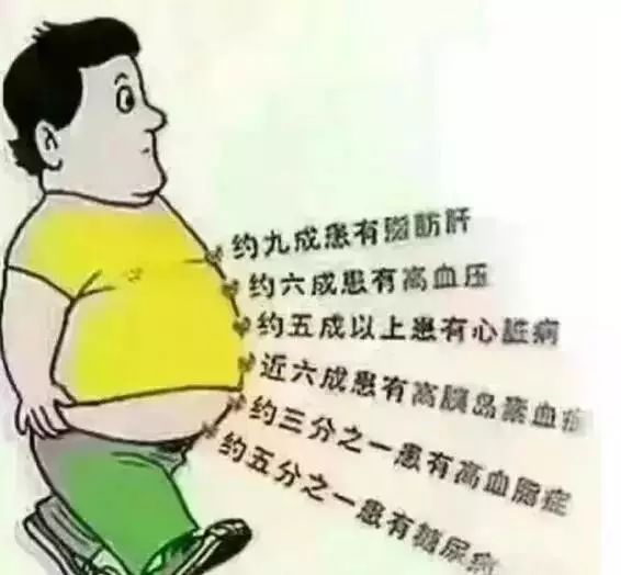 0837e25233ec402dac44dee7b877f4ae.jpeg