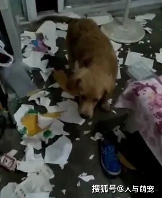 打死老人口罩_戴口罩的卡通图片(3)