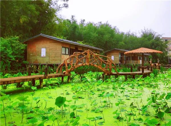 自驾游广西"小三峡",赏奇谭飞瀑,体验荷池小院民宿,邂逅桂平大美风光!