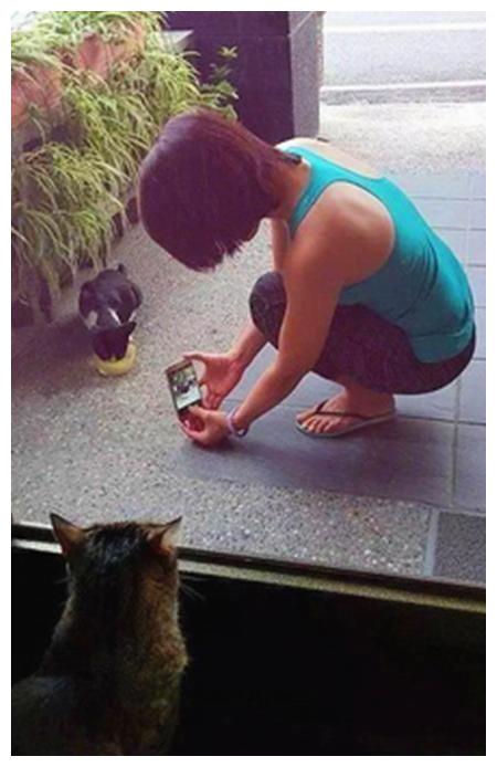 狗路过独木桥就不叫了(猜一成语)_从你的全世界路过图片(3)