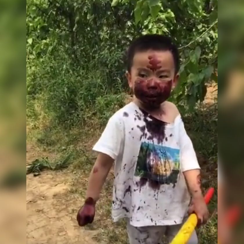 原创萌娃摘桑葚，搞了一张纯天然“桑葚面膜”火了，网友：妈见打系列