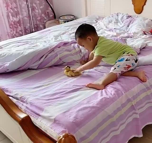小姨送给外甥一只小鸭，宝宝稀罕的不得了-李嘉诚套现逾738亿