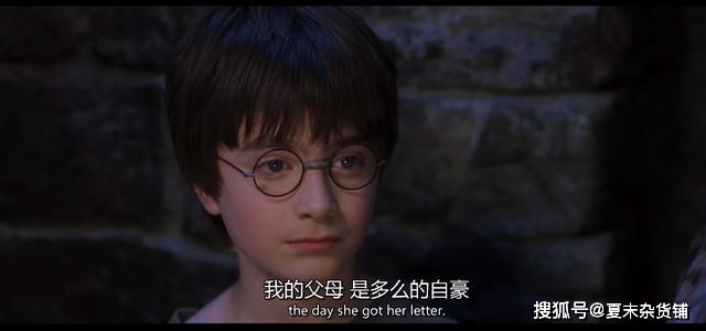 哈利波特|这么多年都误会佩妮姨妈了哈利波特：看完这些才明白