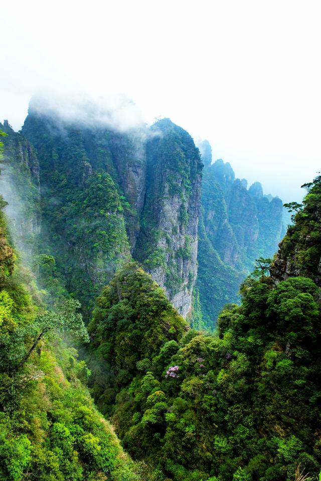 原创 去广西大山深处旅行吧!实拍隐藏在大瑶山里的仙境,所见都是风景