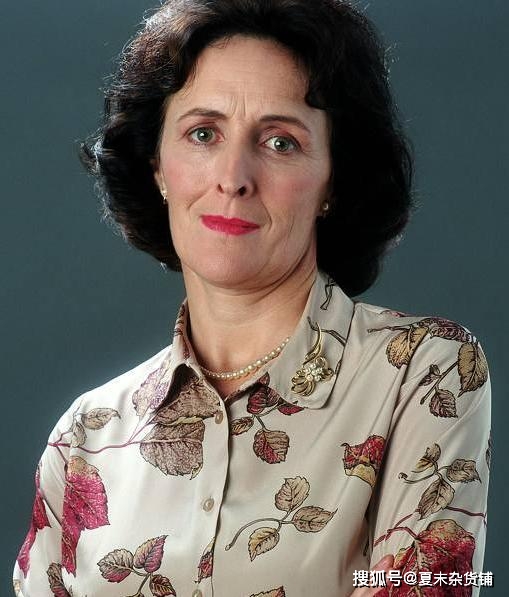 哈利波特|这么多年都误会佩妮姨妈了哈利波特：看完这些才明白