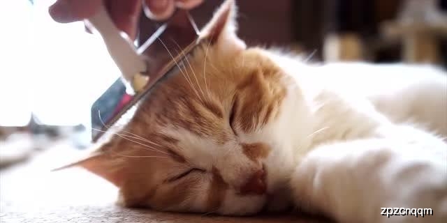0478cfc8d7924eef9a88caa63f8ea0a4.jpeg