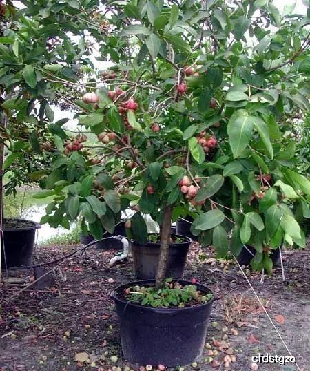 0840f075512e4ca3b7ad5465788b5128.jpeg
