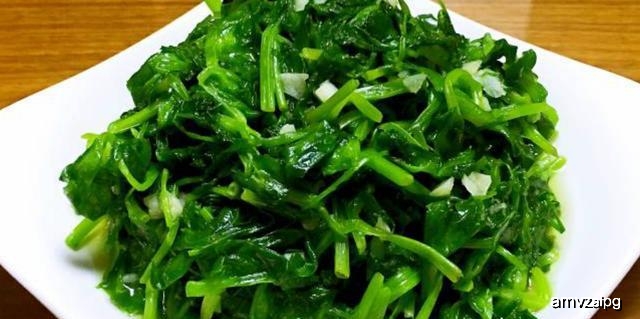 怎么在家种豌豆苗 2e60f554496c4c3cb84f62914997ae8d.jpeg