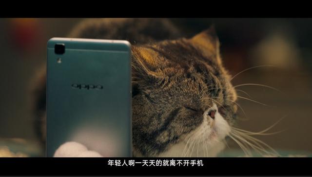 手机晚上拍视频怎么拍清楚 3c8971cefd1941589f68142d83f60bfc.jpeg