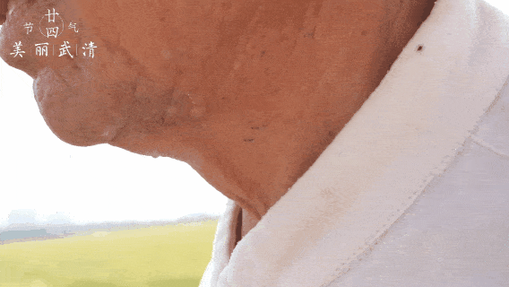 醉美雍阳风吹麦浪芒种忙