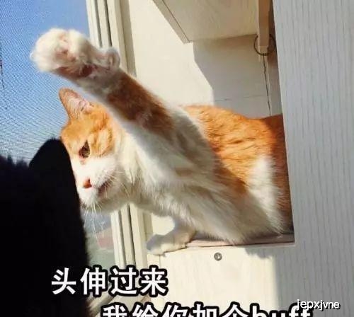 deed8d0c56384642addb5b53abec9281.jpeg