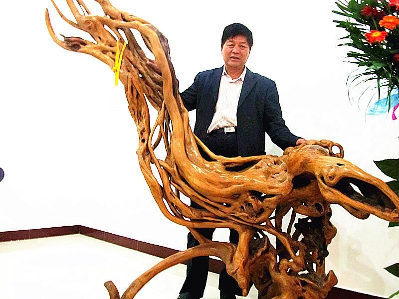 原创根艺《飞天》入住郑州自然博物馆 老毛说事