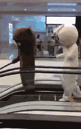 搞笑gif:找个胖媳妇,拍个婚纱照真特么不容易啊!