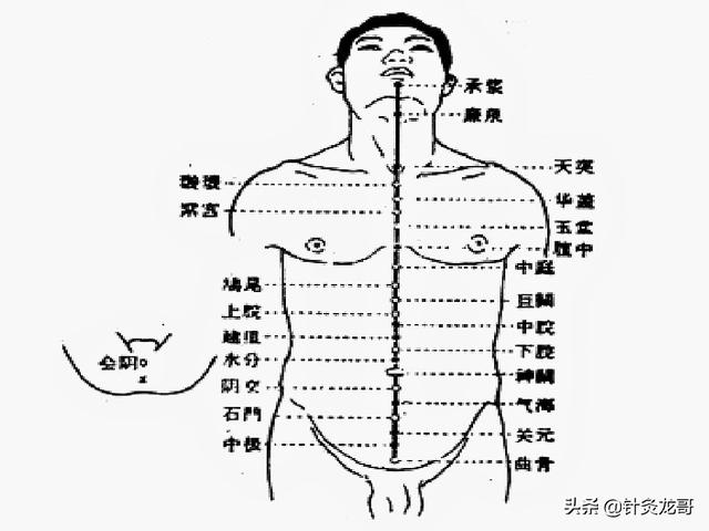 任督二脉在哪(任督二脉的准确位置图)