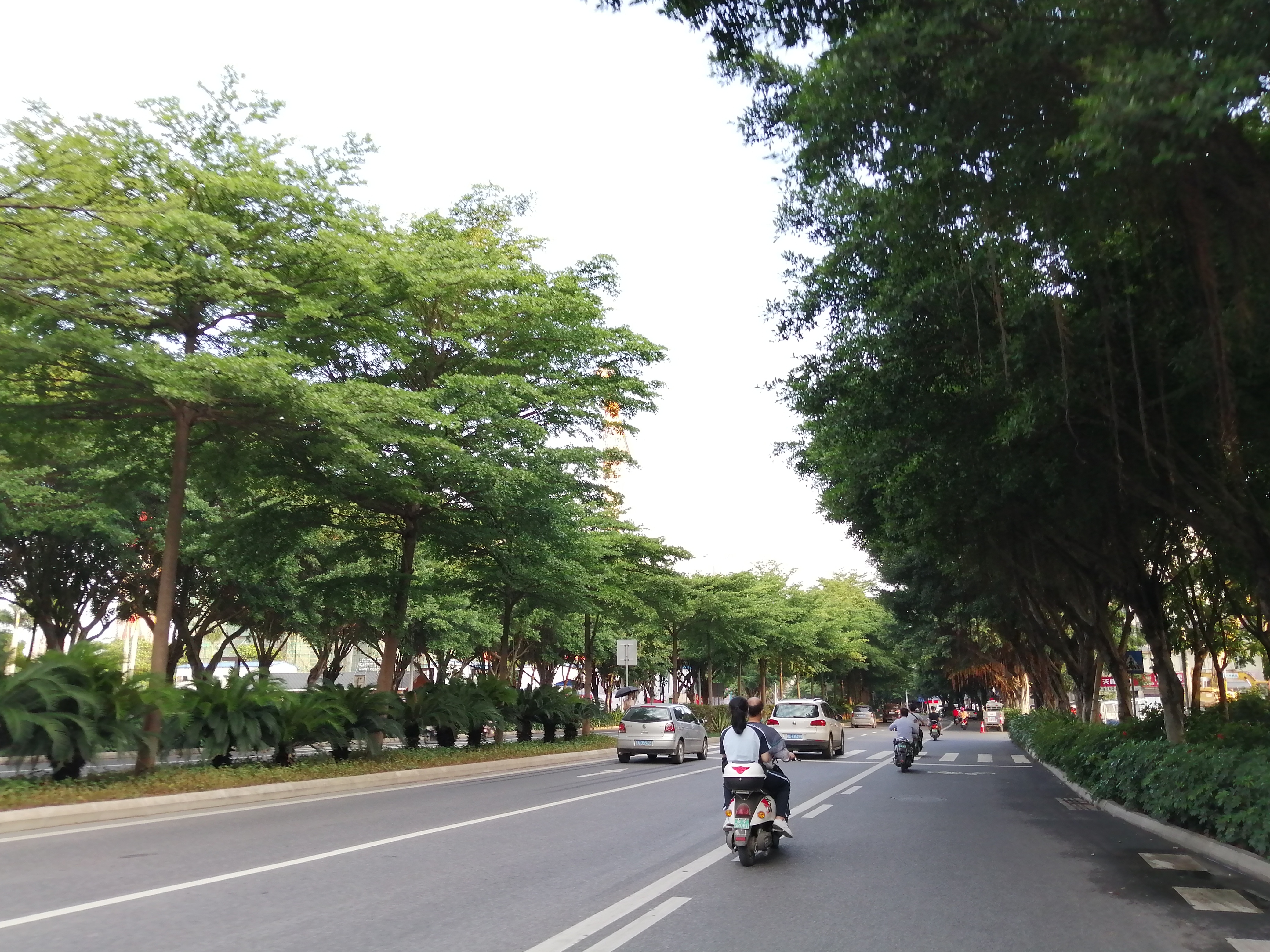 下去就是江南大道