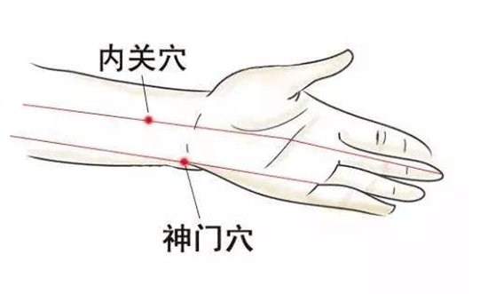 还可以经常点揉双手的神门,内关,合谷这三个穴位( 穴位位置看上图)