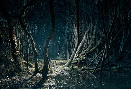 原创世界最阴森诡异的自杀森林,进去就出不来,为何都喜欢往这跑?