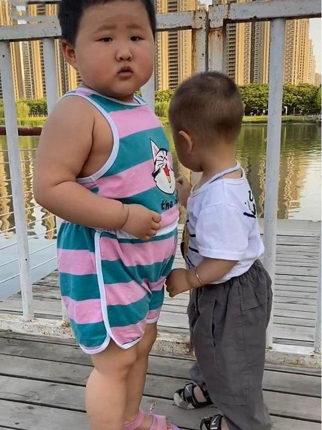 孩子|堪称S遇到XL，原来两岁宝宝身高体重能相差这么大同龄宝宝偶遇