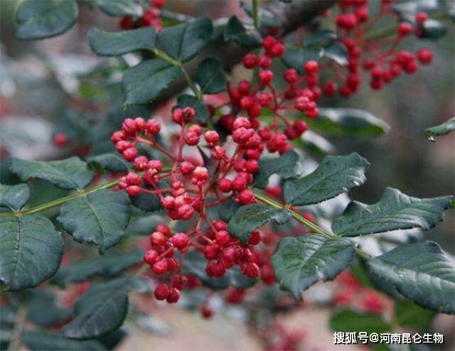 cea2088088194fd190628d64d82df5d3.jpeg
