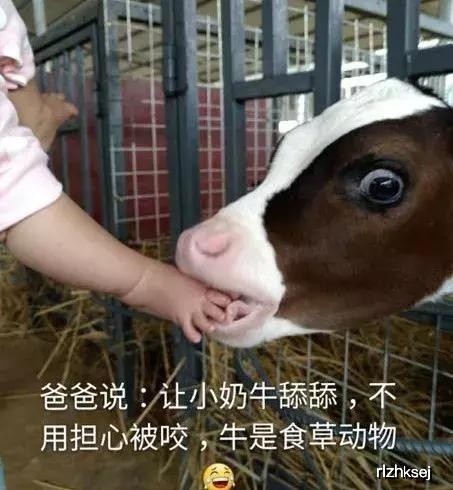 原创逗比爸带熊孩子爆笑瞬间,记住千万不要让逗比老爸带娃 原创逗比爸带熊孩子爆笑瞬间,记住千万不要让逗比老爸带娃