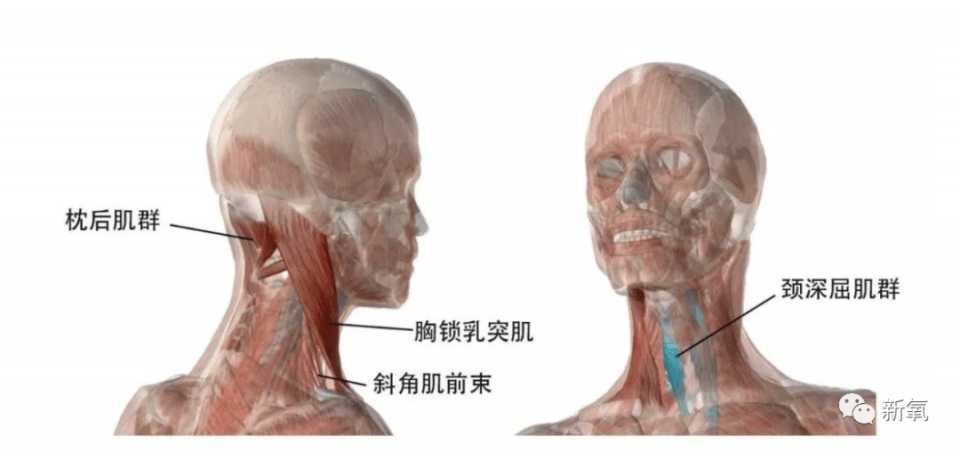 ef0aec0f63804c14ae0834afcd4fc41a.png