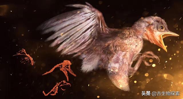 最近有一批科學家在緬甸琥珀裡挖掘到了大量恐龍羽毛，羽毛形狀保存良好 娛樂 第2張