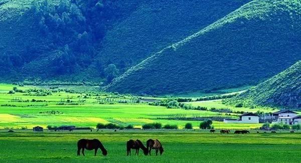 中国最美的100个草原,你去过几个?