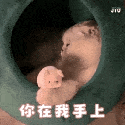 沙雕表情包:公主殿下,我来啦