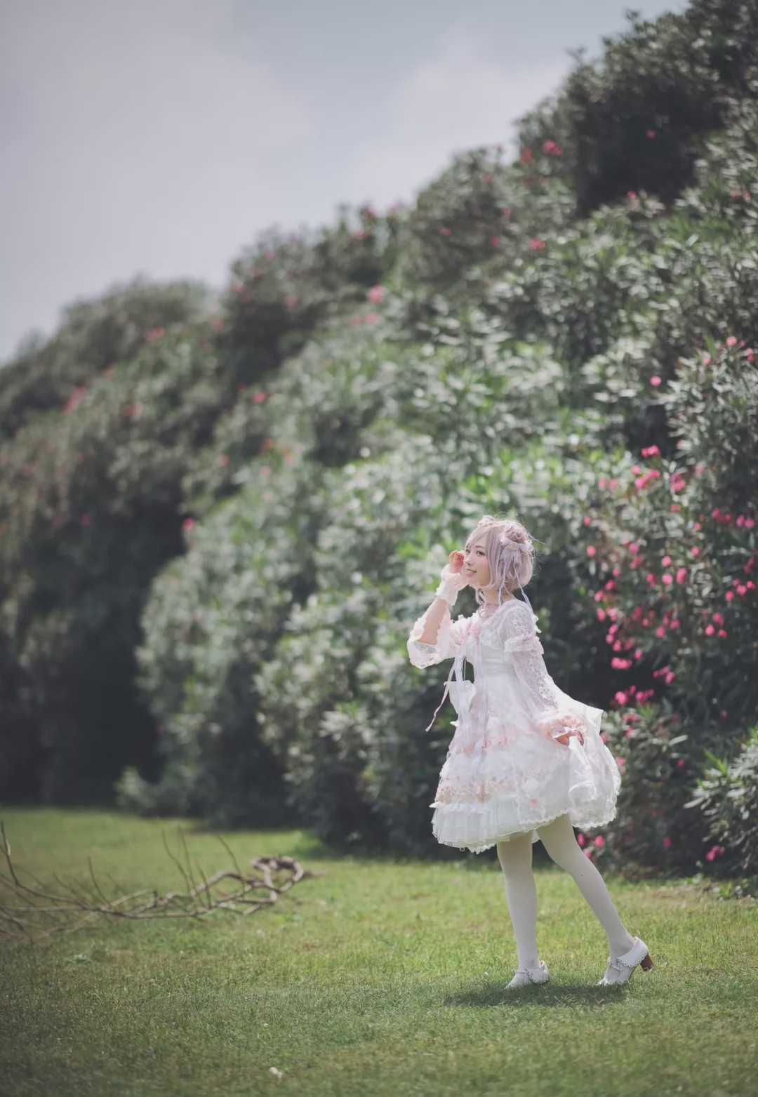lolita:初夏的阳光穿过树叶洒落