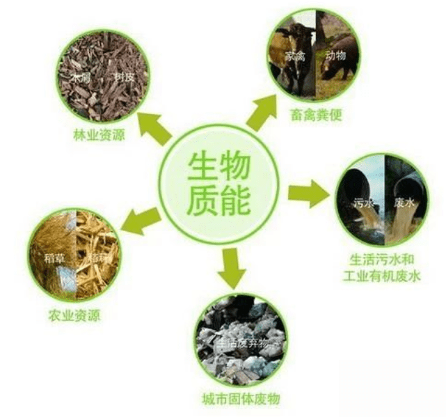 生物质能由于通过植物的光合作用可以再生,属于可再生能源,且资源丰富