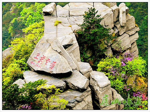 庐山味道:庐山景区对庐山摩崖石刻出新加大庐山文化遗产保护