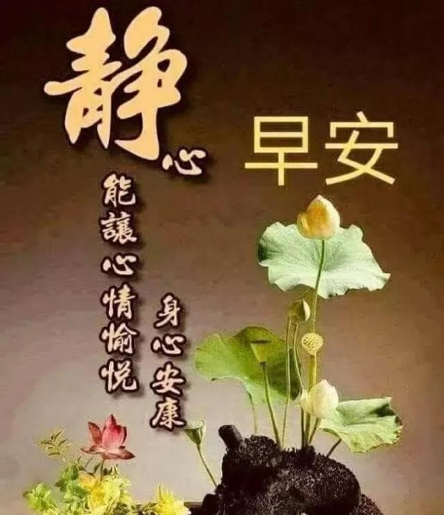 知己图片大全高清图 afbec69772614f2ba6a36d7ff044c949.jpeg