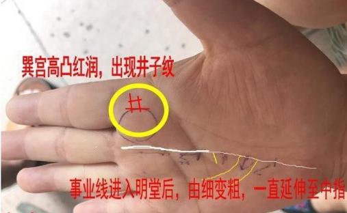 什么是三角纹的位置 d091cb1dfb4649b9888b55ea7ac382e4.jpeg