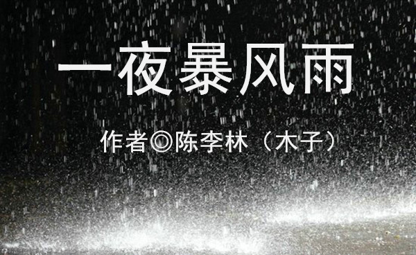 一夜风雨简谱_阳光总在风雨后简谱