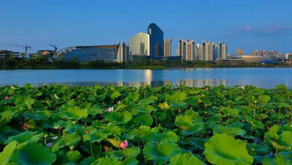 北海市GDP2020_北海市地图(3)