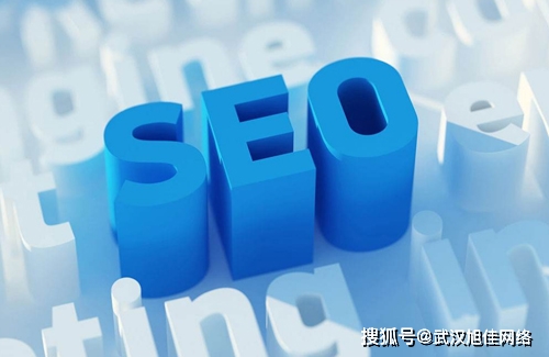 网站优化的网站标题怎么写 来自搜狐网