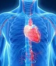 什么叫代谢废物 3292acd960764bd5a1ab74a0e1f65050.jpeg