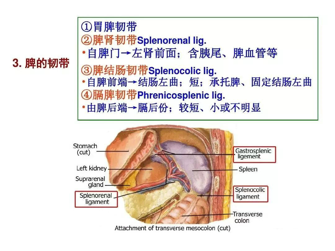 网站公告: