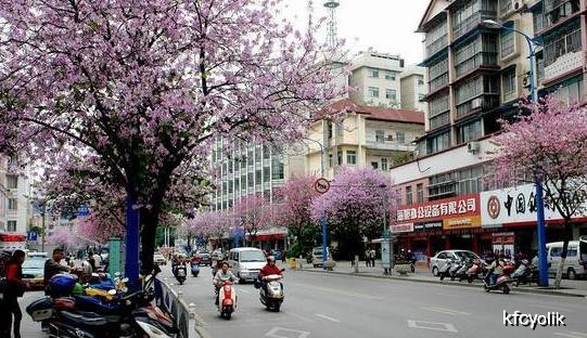 桂林最新市区人口_桂林市区的景点(3)