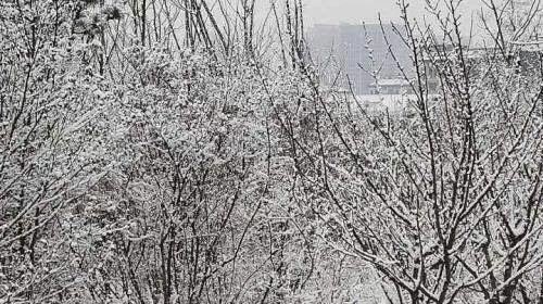 什么样的天空飘着什么样的雪花 99dc1a2e4ed749819912478850fcf60d.jpeg