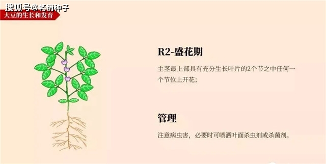 一生之解简谱_儿歌简谱(3)