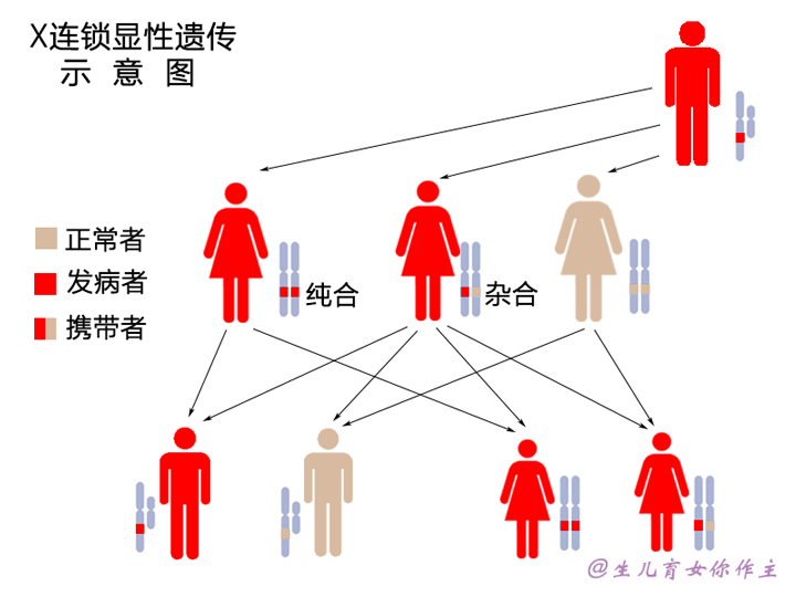 x连锁隐性遗传病,父亲因为只有一条x基因而没有等位基因,所以一定是